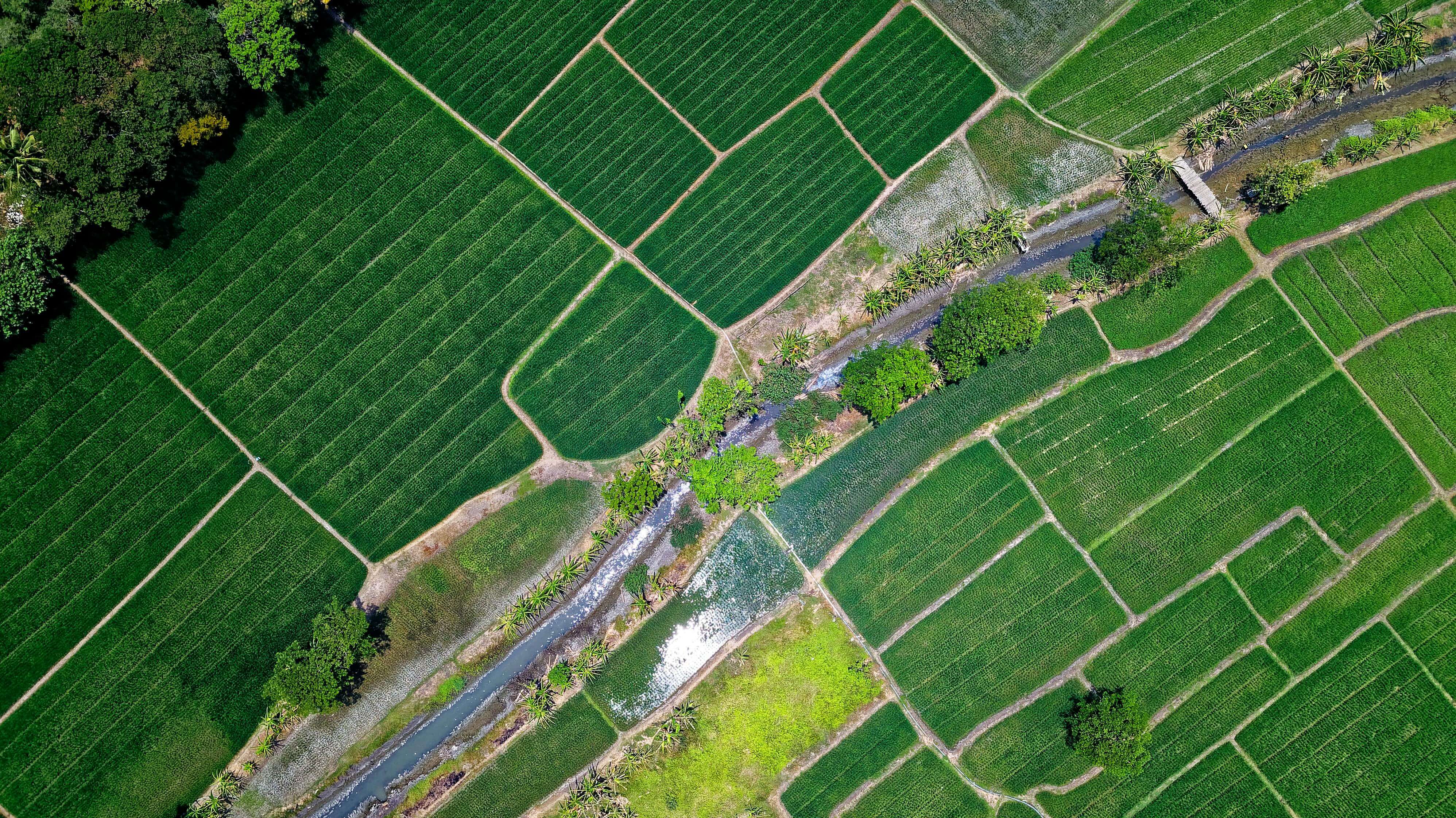 Agriculture Property 2